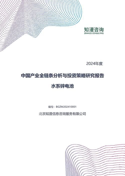 2024年中国水系锌电池产业全链条分析与投资策略研究报告