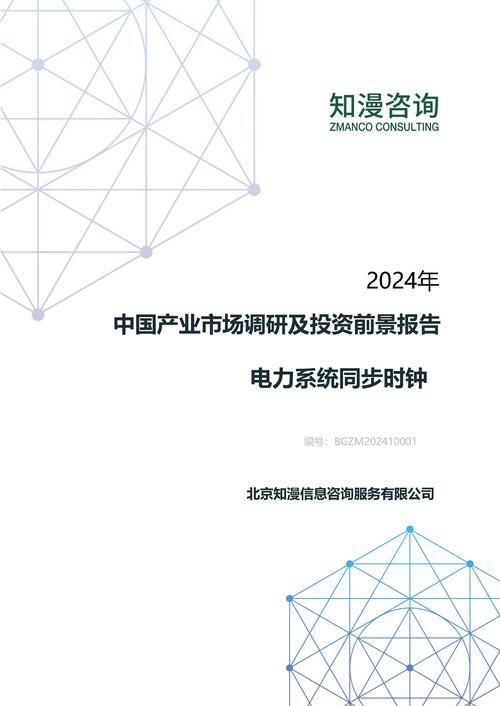 2024年中国电力系统同步时钟产业市场调研及投资前景报告