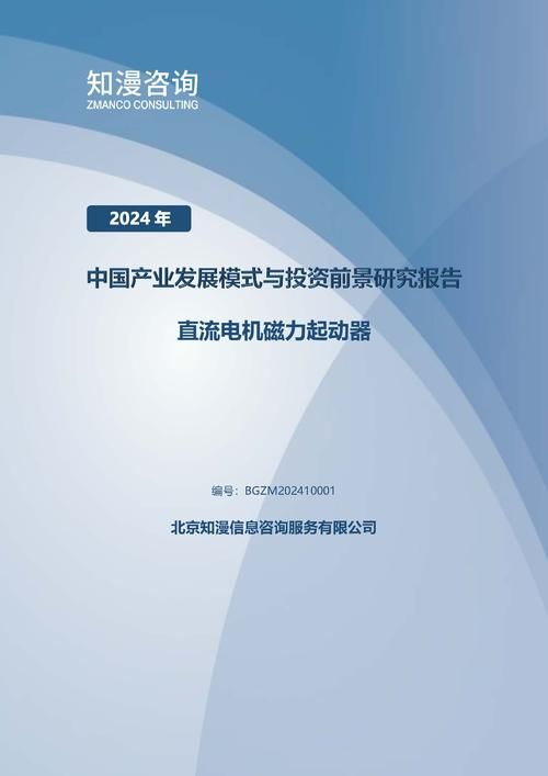2024年中国直流电机磁力起动器产业发展模式与投资前景研究报告