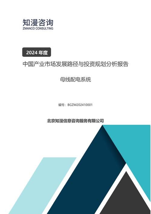2024年中国母线配电系统产业市场发展路径与投资规划分析报告