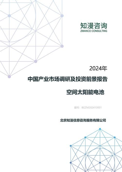 2024年中国空间太阳能电池产业市场调研及投资前景报告