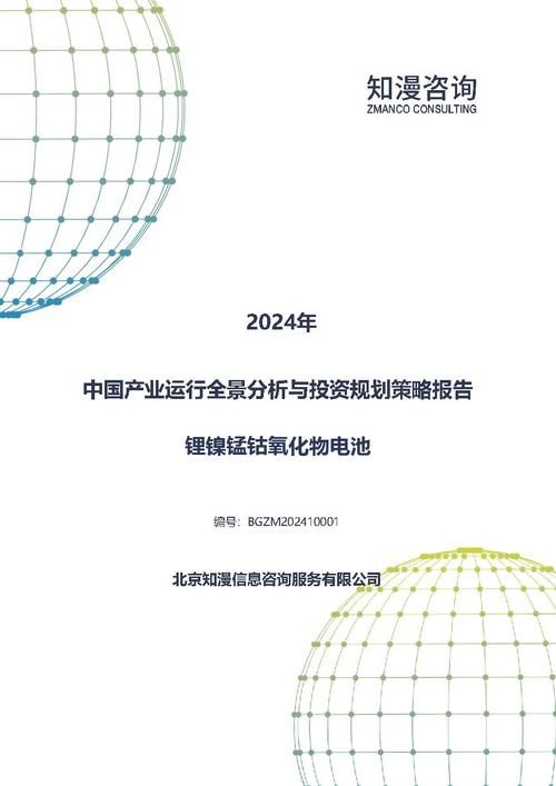 2024年中国锂镍锰钴氧化物电池产业运行全景分析与投资规划策略报告