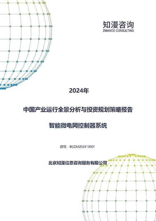 2024年中国智能微电网控制器系统产业运行全景分析与投资规划策略报告