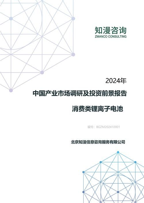 2024年中国消费类锂离子电池产业市场调研及投资前景报告
