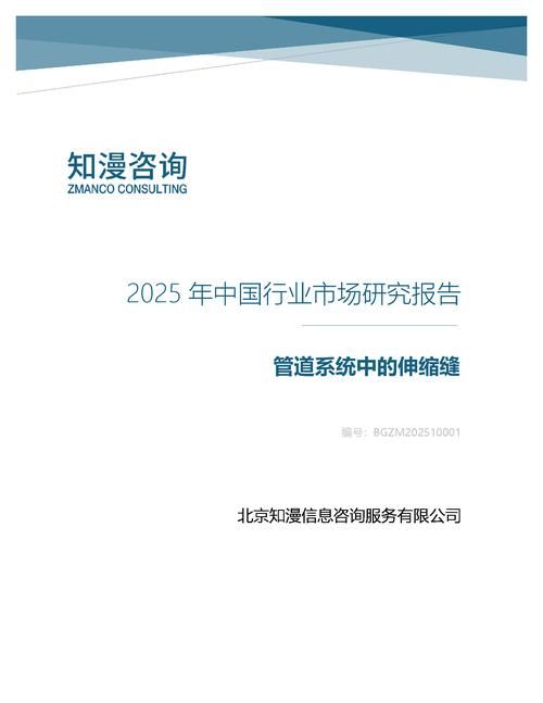 2025年中国管道系统中的伸缩缝行业市场研究报告
