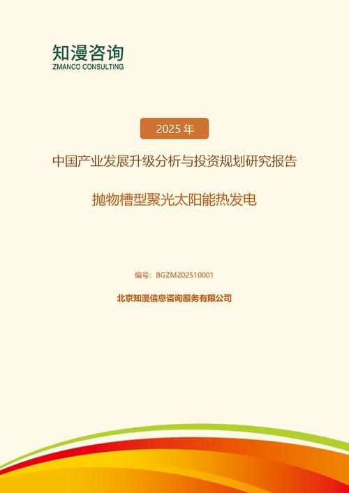 2025年中国抛物槽型聚光太阳能热发电产业发展升级分析与投资规划研究报告
