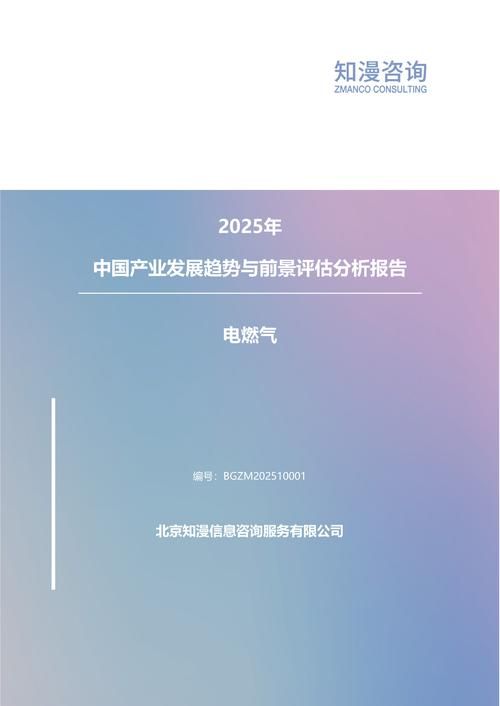 2025年中国电燃气产业发展趋势与前景评估分析报告