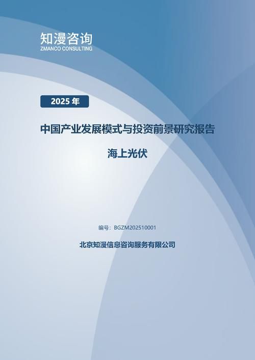2025年中国海上光伏产业发展模式与投资前景研究报告