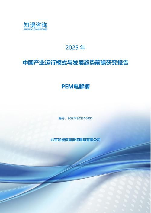 2025年中国PEM电解槽产业运行模式与发展趋势前瞻研究报告