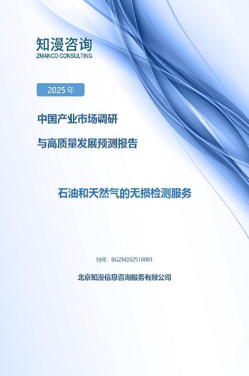 2025年中国石油和天然气的无损检测服务产业市场调研与高质量发展预测报告