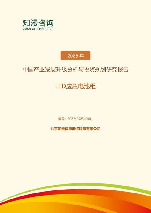 2025年中国LED应急电池组产业发展升级分析与投资规划研究报告
