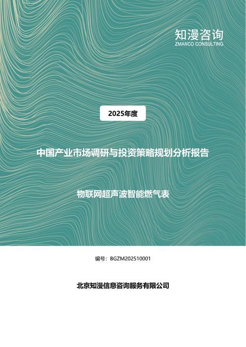 2025年中国物联网超声波智能燃气表产业市场调研与投资策略规划分析报告