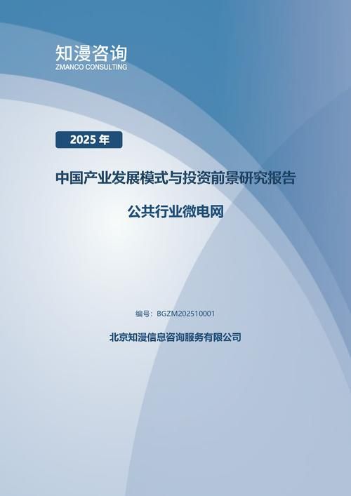 2025年中国公共行业微电网产业发展模式与投资前景研究报告