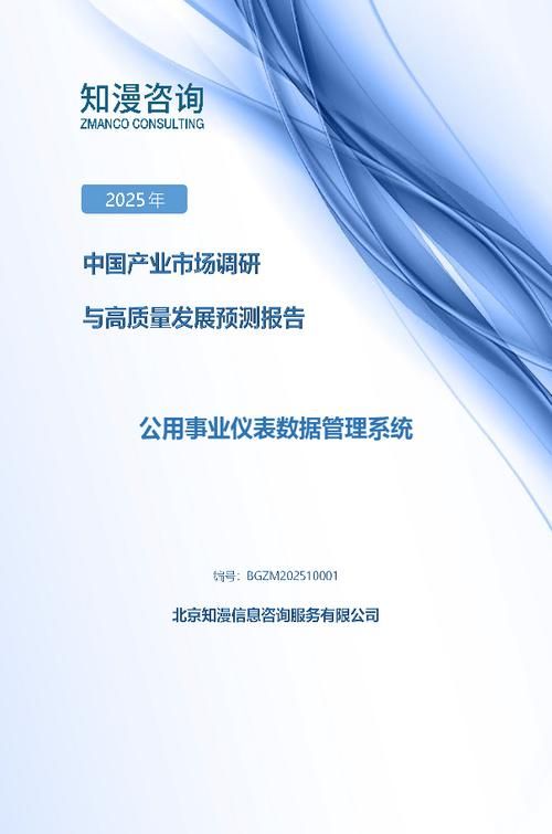2025年中国公用事业仪表数据管理系统产业市场调研与高质量发展预测报告