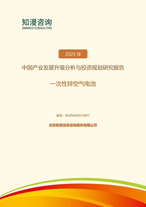 2025年中国一次性锌空气电池产业发展升级分析与投资规划研究报告
