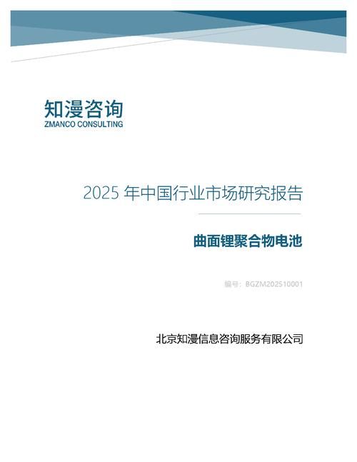 2025年中国曲面锂聚合物电池行业市场研究报告
