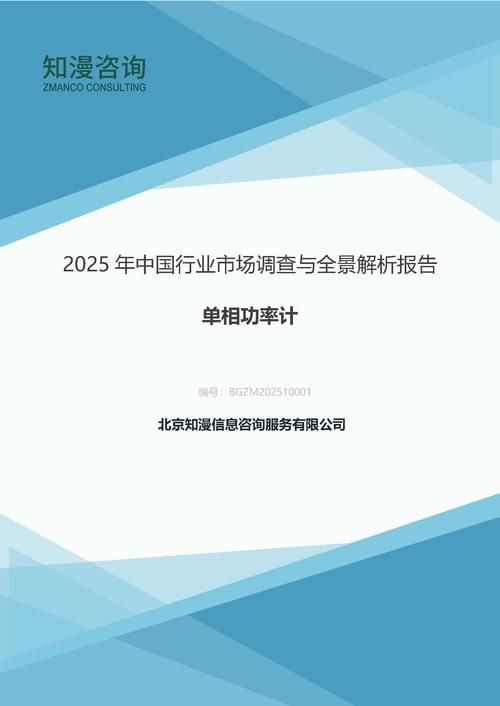 2025年中国单相功率计行业市场调查与全景解析报告