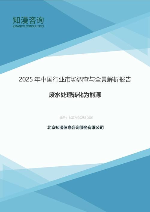 2025年中国废水处理转化为能源行业市场调查与全景解析报告