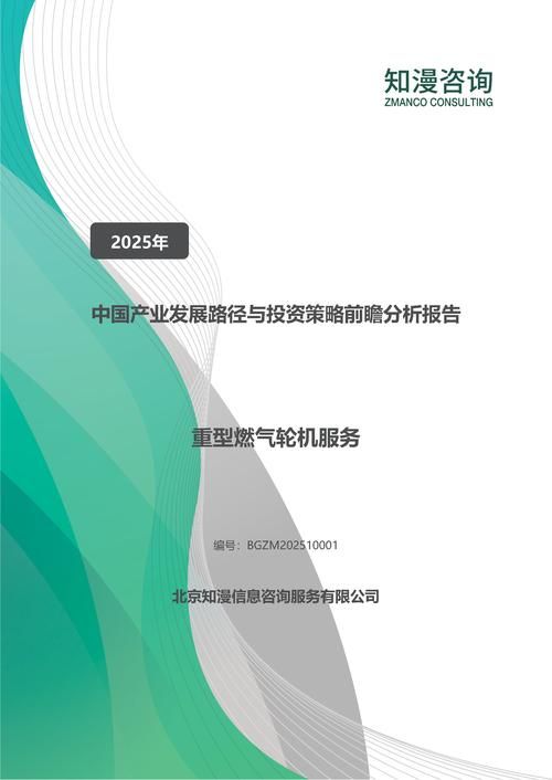 2025年中国重型燃气轮机服务产业发展路径与投资策略前瞻分析报告