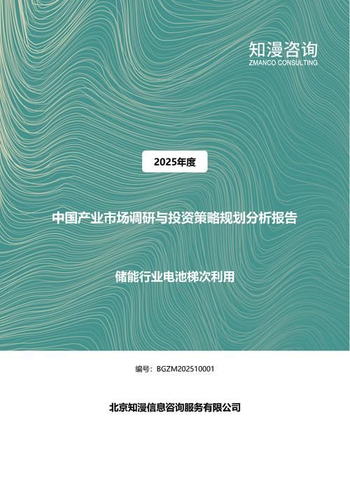 2025年中国储能行业电池梯次利用产业市场调研与投资策略规划分析报告