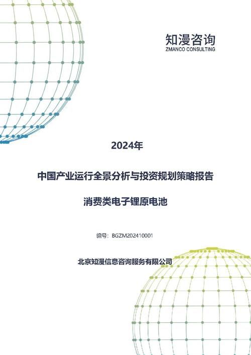 2024年中国消费类电子锂原电池产业运行全景分析与投资规划策略报告