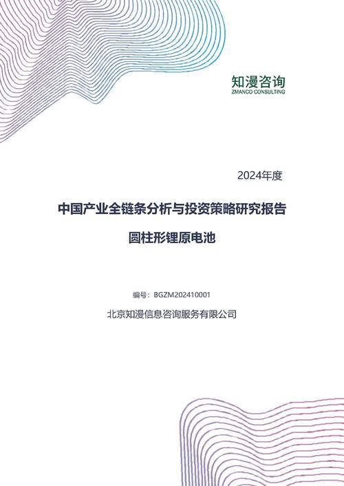 2024年中国圆柱形锂原电池产业全链条分析与投资策略研究报告
