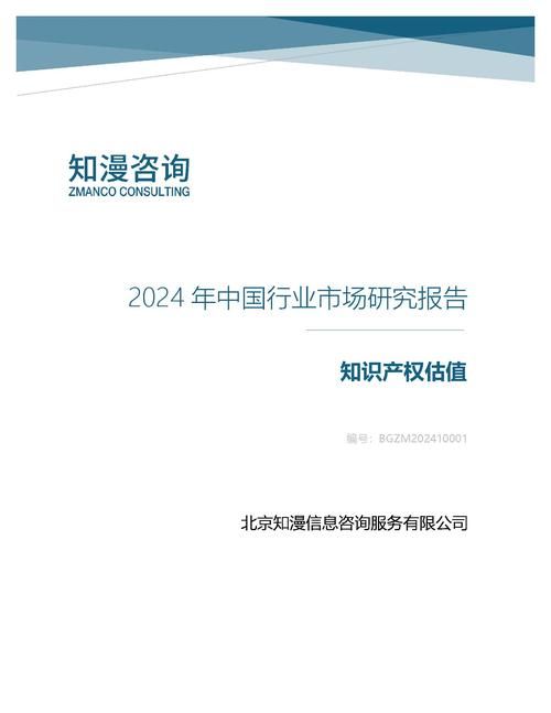 2024年中国知识产权估值行业市场研究报告