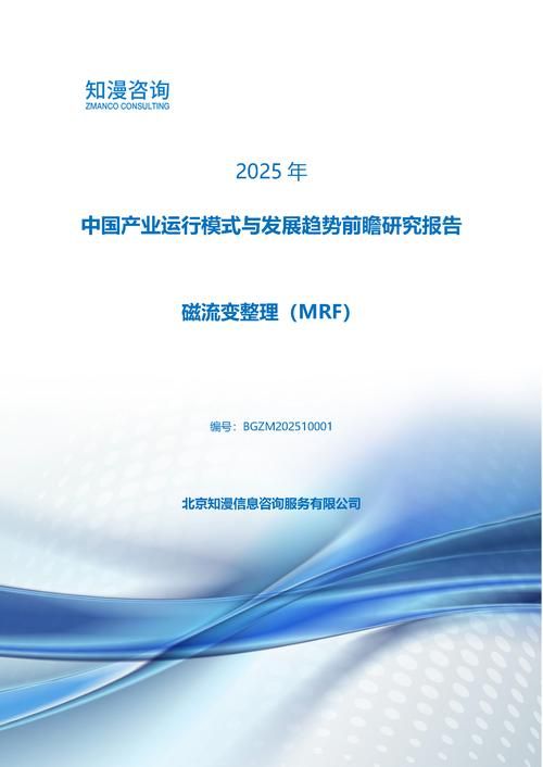 2025年中国磁流变整理（MRF）产业运行模式与发展趋势前瞻研究报告