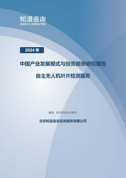 2024年中国自主无人机叶片检测服务产业发展模式与投资前景研究报告